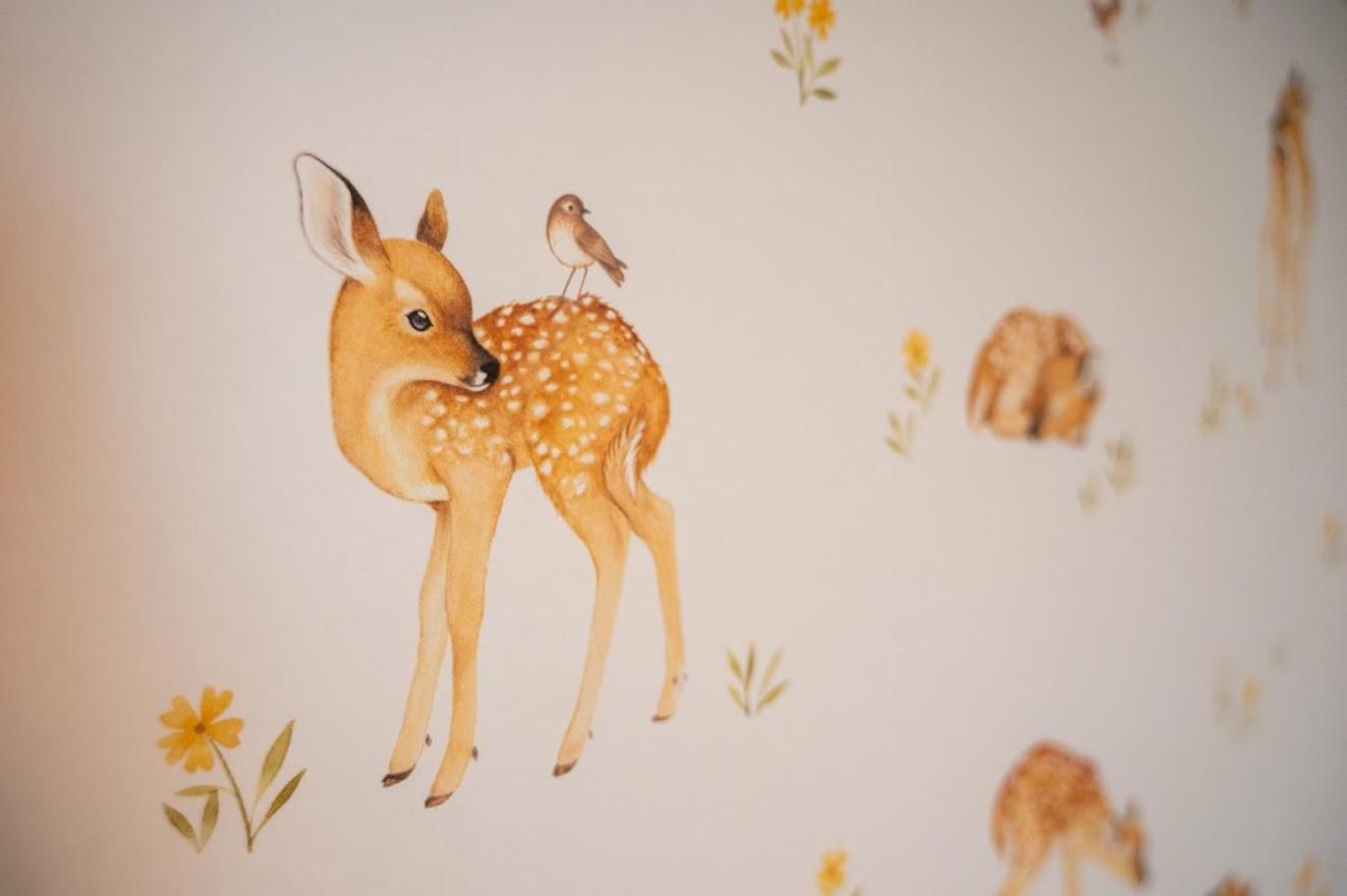 Le Val Des Cerfs - Het Hertendal Hastiere-par-dela 客房 照片